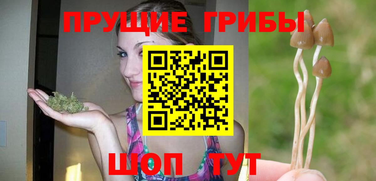 Копейск  магазин  наркотиков  Вход с VPN  Псилоцибиновые грибы MAGIC MUSHROOMS 